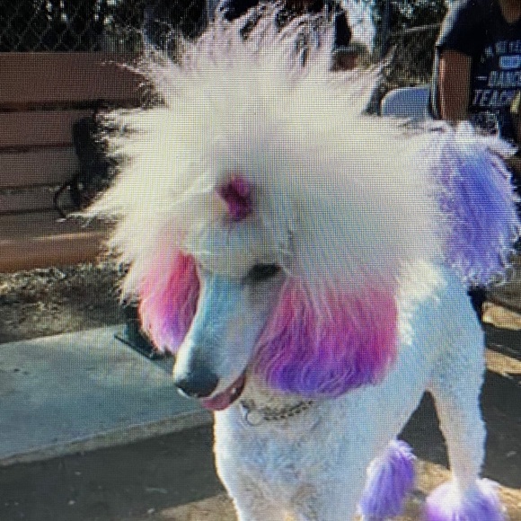 Meet your Posher, Kathy - Picture 1 of 1